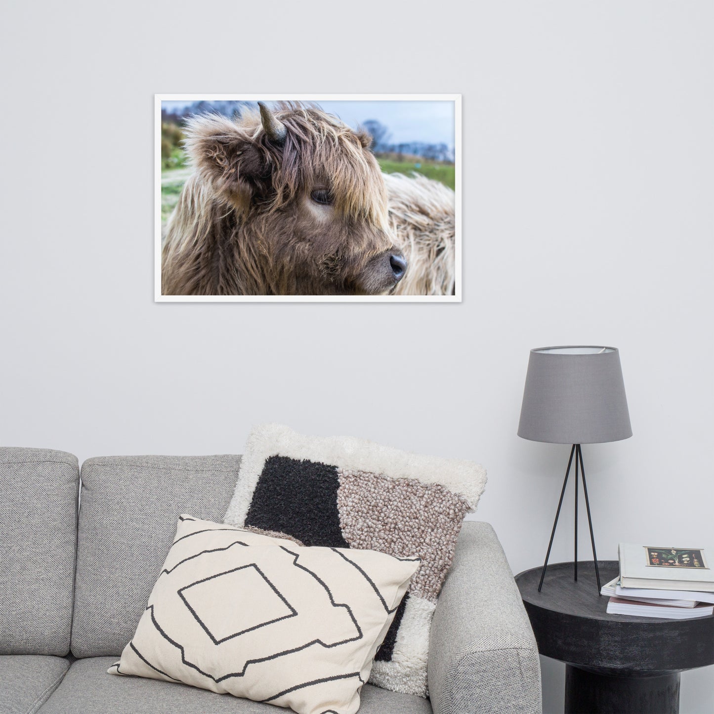 Highland cow framed poster