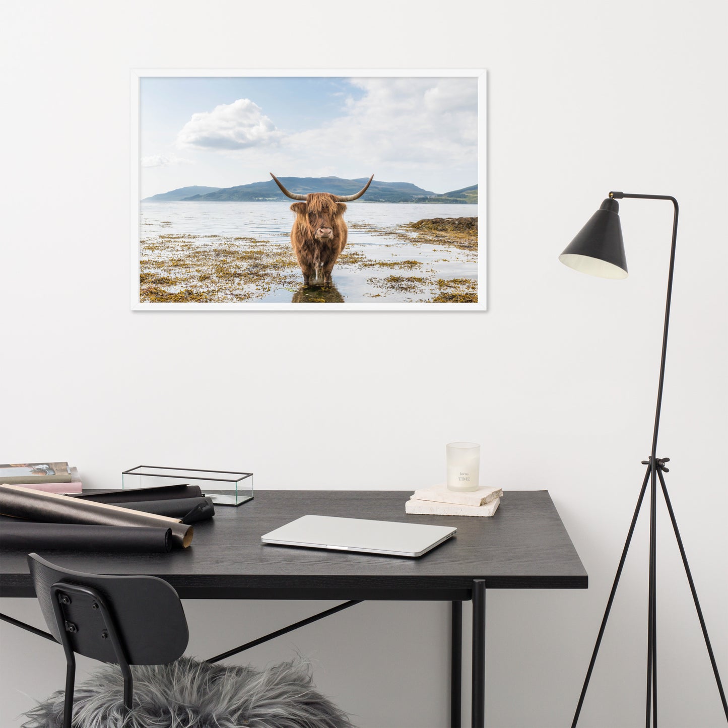 Longhorn Framed poster