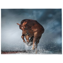 Horse Graphic Print Blanket & Throws, a perfect blend of warmth, comfort, and artistic charm. 
