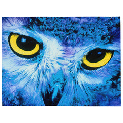 Wrap yourself in the warmth of this soft and cozy blanket adorned with a captivating owl eye design. 
