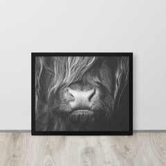 Highland Cow Framed poster