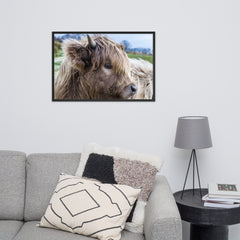 Highland cow framed poster