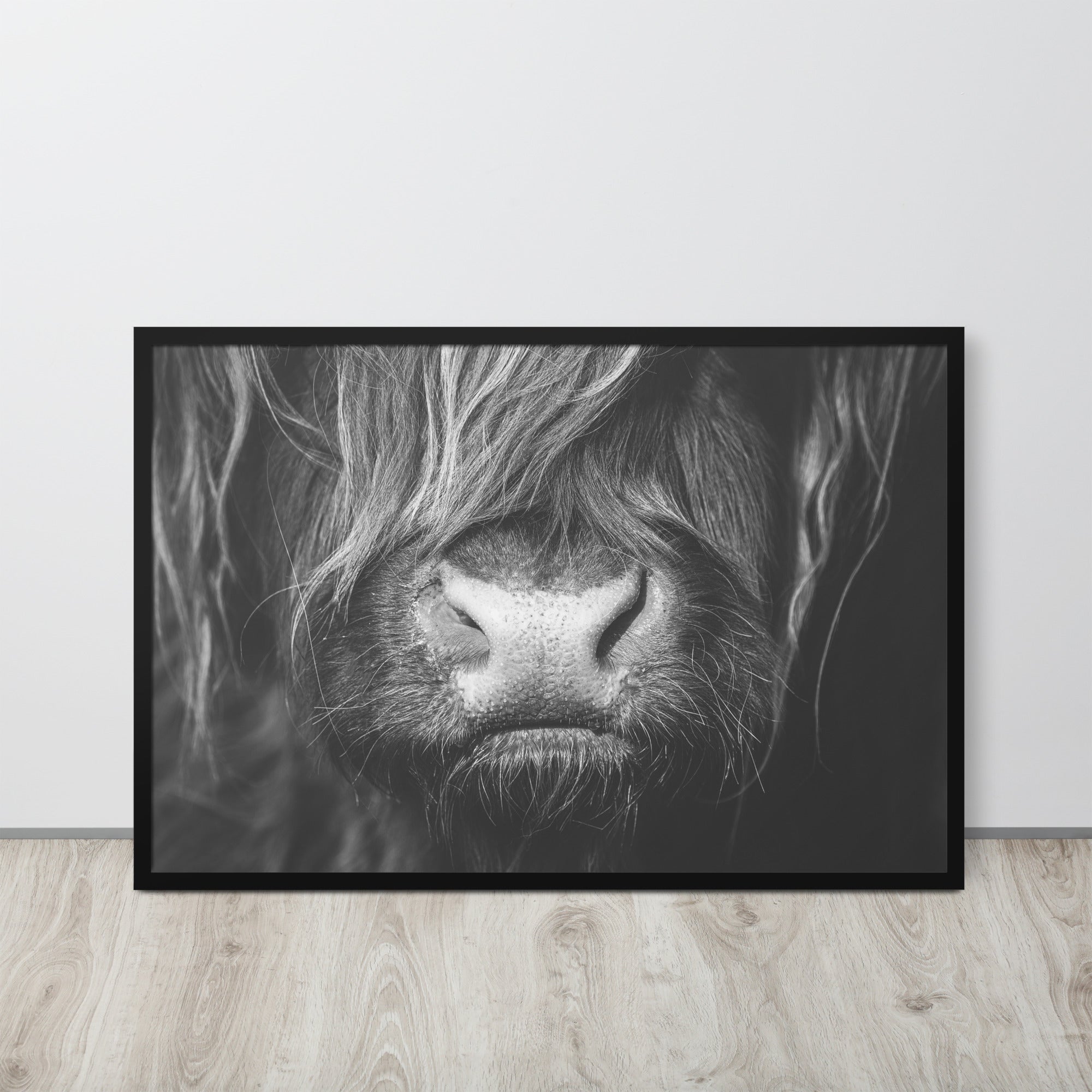 Highland Cow Framed poster