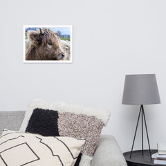 Highland cow framed poster