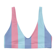 Swimsuit Bikini ToPink and Blue Stripes Bra, the perfect fusion of style and comfort for ladies. 