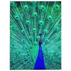 Peacock Graphic Printed Blanket, a stunning blend of comfort and style.