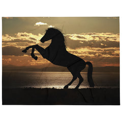 Horse Fine Art Printed Blanket, where elegance and comfort meet in perfect harmony.