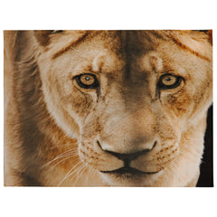 Lion Head Graphic Print Blankets, a fierce addition to your home decor collection.