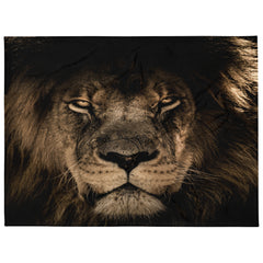 Fearless Lion Face Throw Blanket, a captivating addition to your home decor that combines warmth, comfort, and the majestic spirit of the lion. 